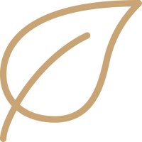 Botanical leaf