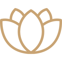 Lotus flower